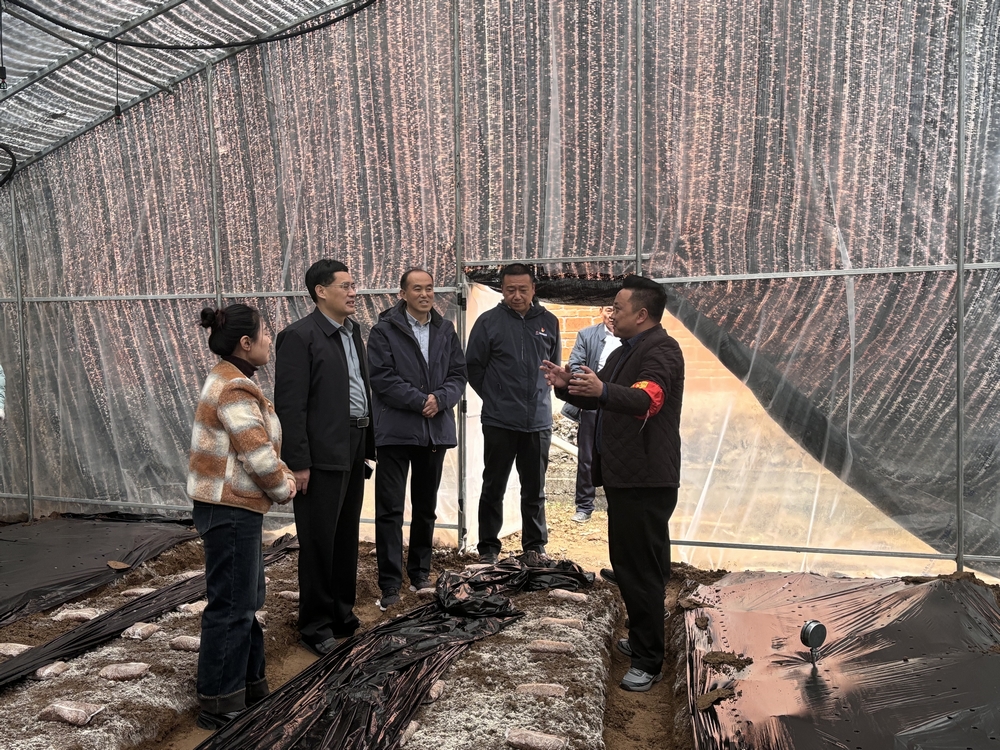 司正林深入定点帮扶村和汉阴实验中学项目调研指导工作