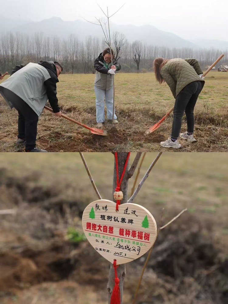 陕煤建设新城公司：“植”此青绿 共“树”未来