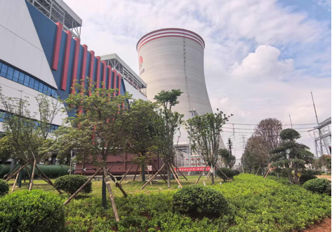 陕煤建设西北分公司:绿意盎然入电厂,生态建设谱新章