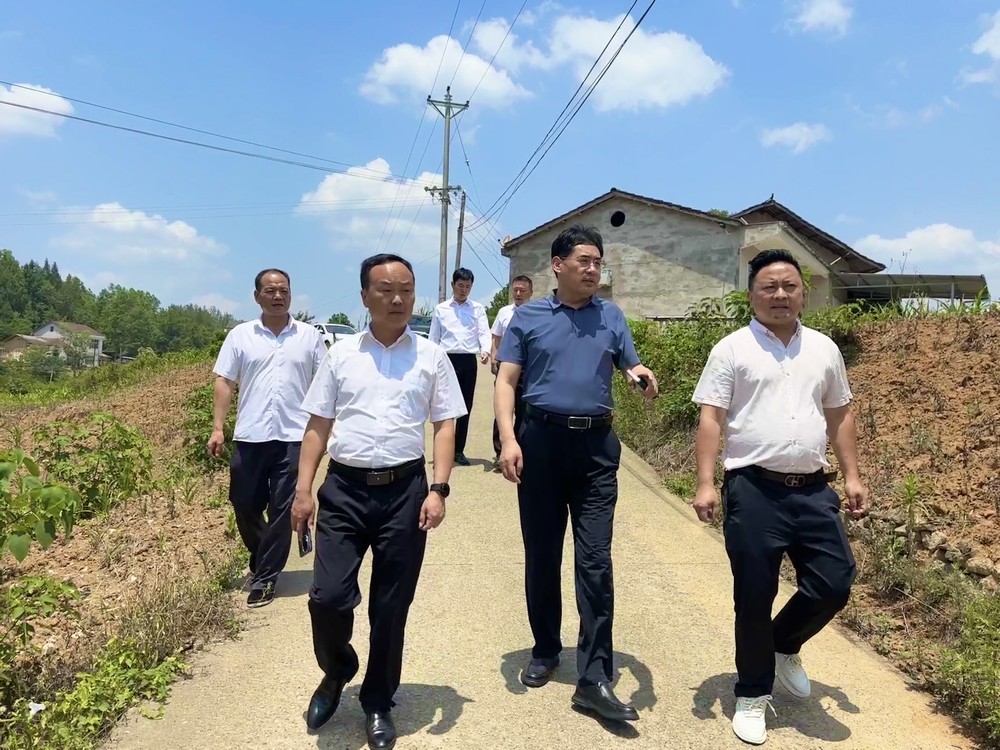 司正林到定点帮扶村调研助力乡村振兴工作