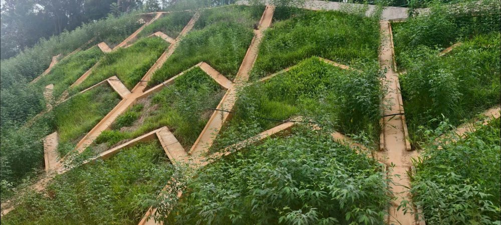 陕煤建设西北分公司：长安益阳发电有限公司2×100万千瓦扩能升级改造项目 高边坡支护工程顺利通过竣工验收