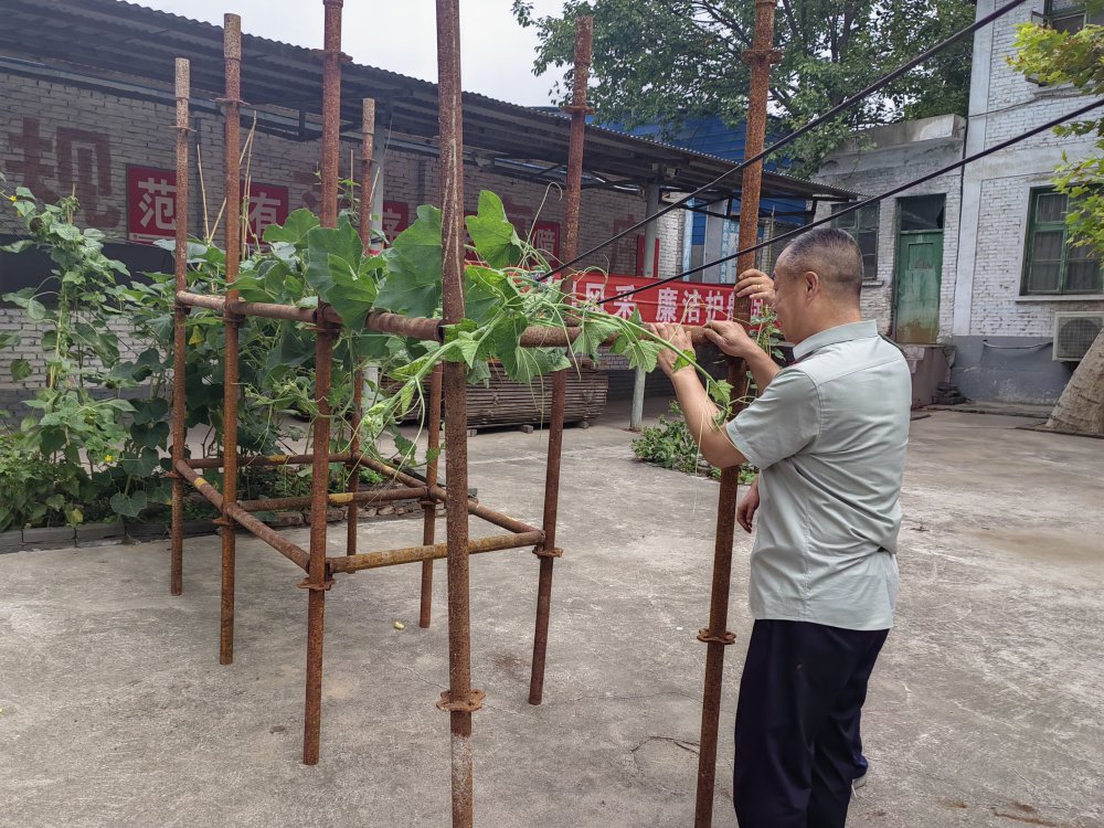 平凡坚守，织就的那些暖心缘
