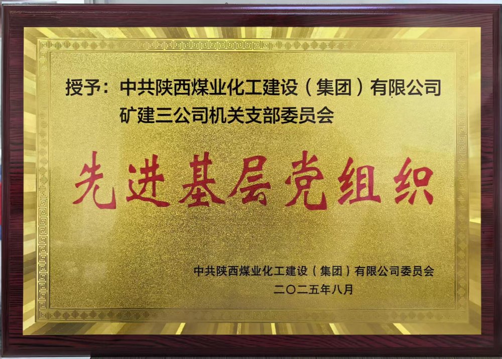 党建引领促发展 融合共进谱新篇