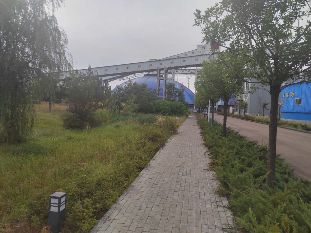 陕煤建设洗选煤运营公司红柳林洗煤厂项目部：秋韵里的安全坚守与生产奋进