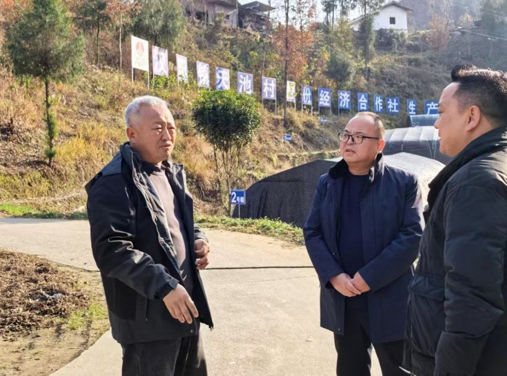 陕煤建设定点帮扶村：专家“把脉”开良方 乡村振兴焕新颜