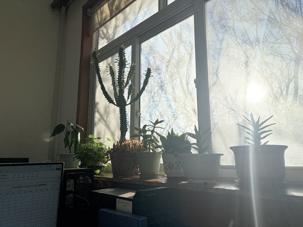 冬阳正好，步履铿锵