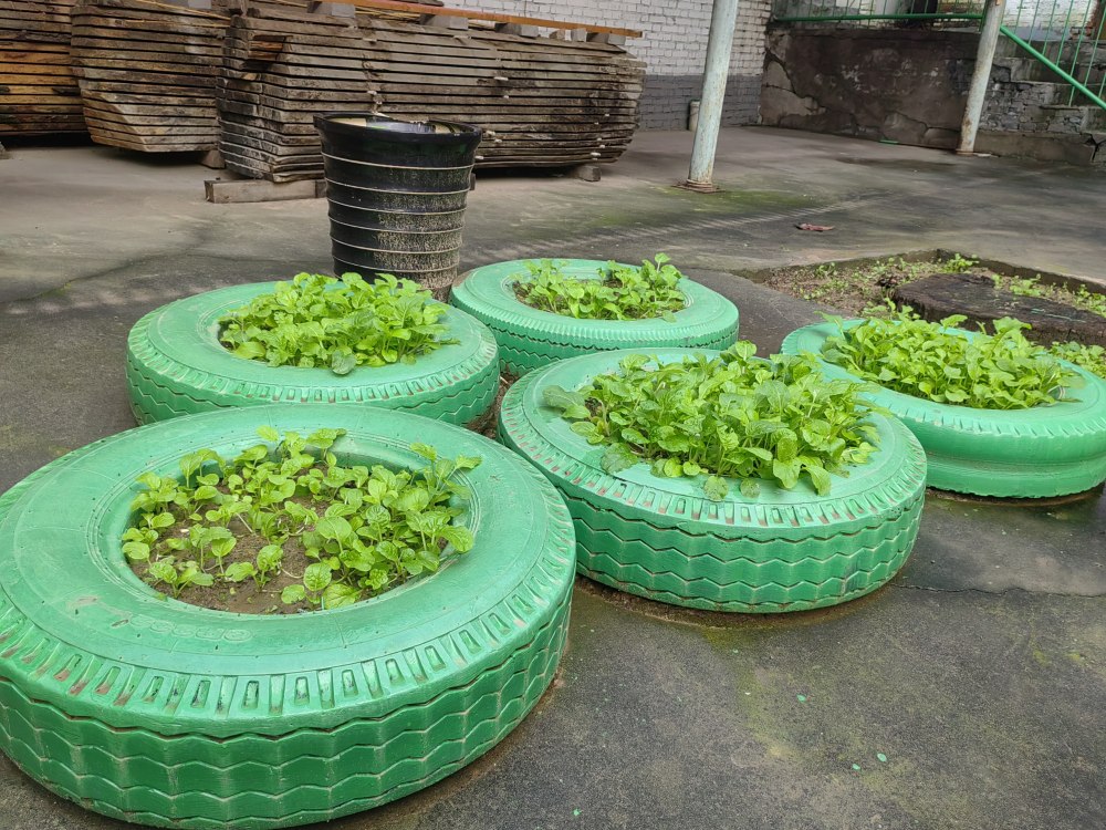 创意无休,废旧轮胎也能C位出道