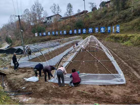 陕煤建设定点帮扶村：以“五化”实践助力乡村全面振兴