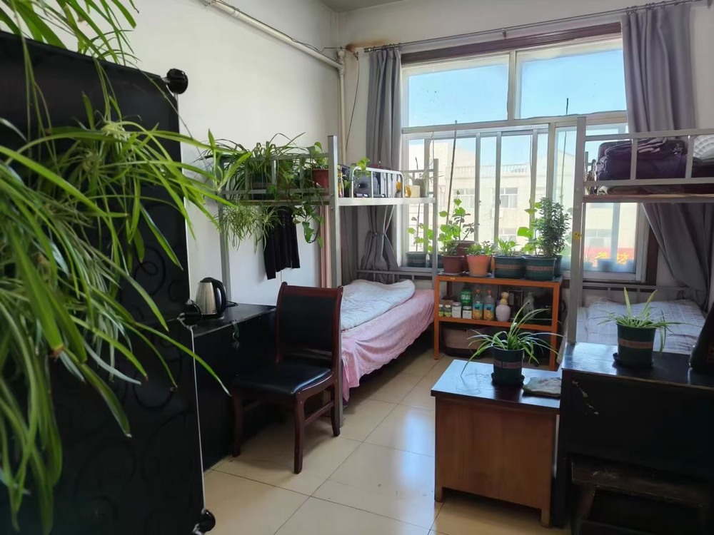 陕煤建设洗选煤运营公司柠条塔运营项目部党支部：党建领航强根基 廉洁铸魂促发展