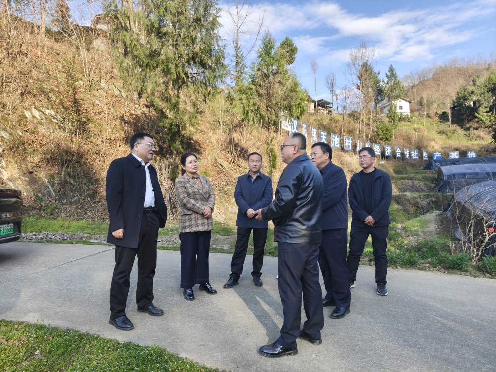 王明智深入定点帮扶村指导乡村振兴工作
