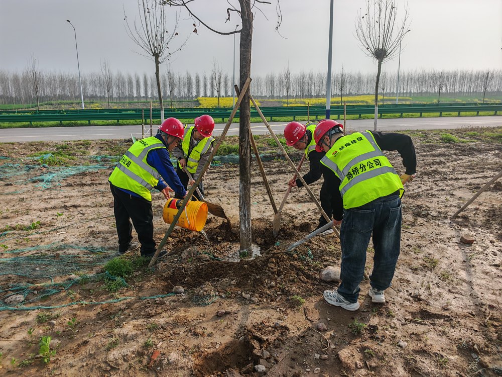 陕煤建设路桥分公司荆州项目部开展植树活动