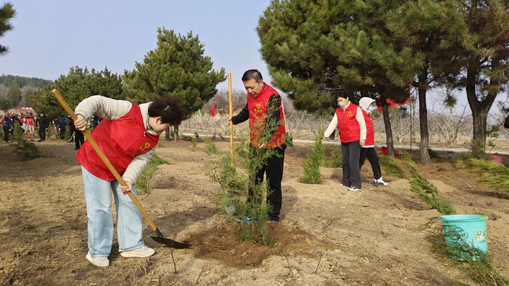 陕煤建设澄合分公司:企地同心植新绿