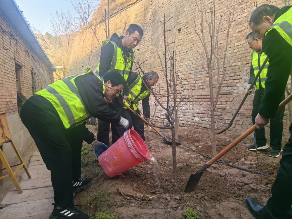 植绿护绿当先锋 绿水青山践初心