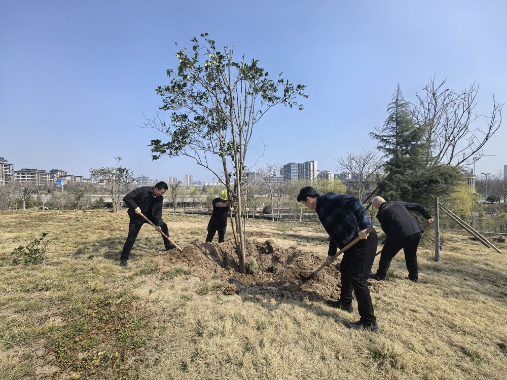 空港添新绿    生态向未来