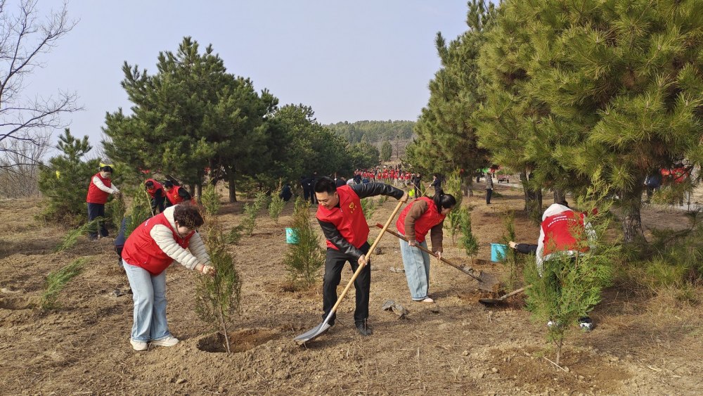 陕煤建设澄合分公司:雷锋精神映初心 青春建功启新程