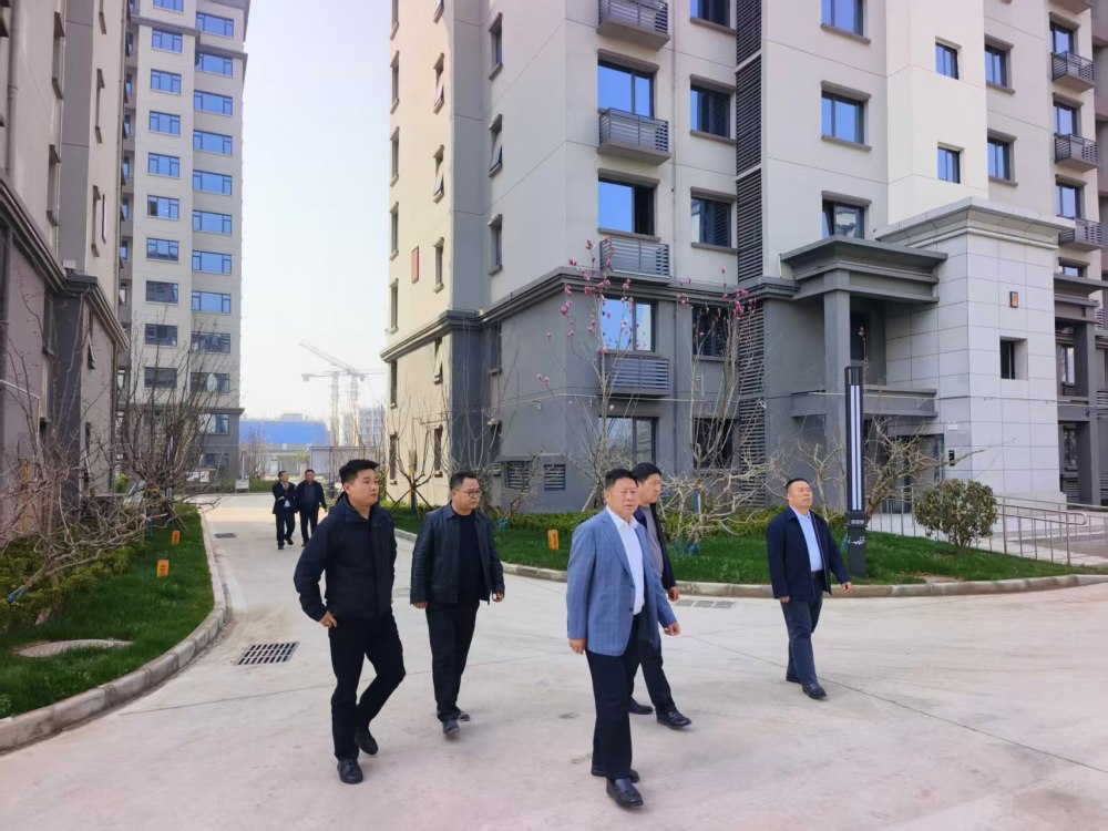 赵敬凯一行深入天工公司大秦·山水逸境项目检查指导工作