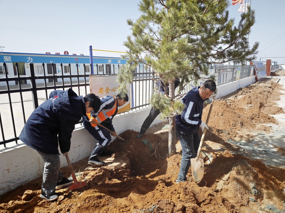 陕煤建设矿建三公司:植绿润人心 聚力促实干