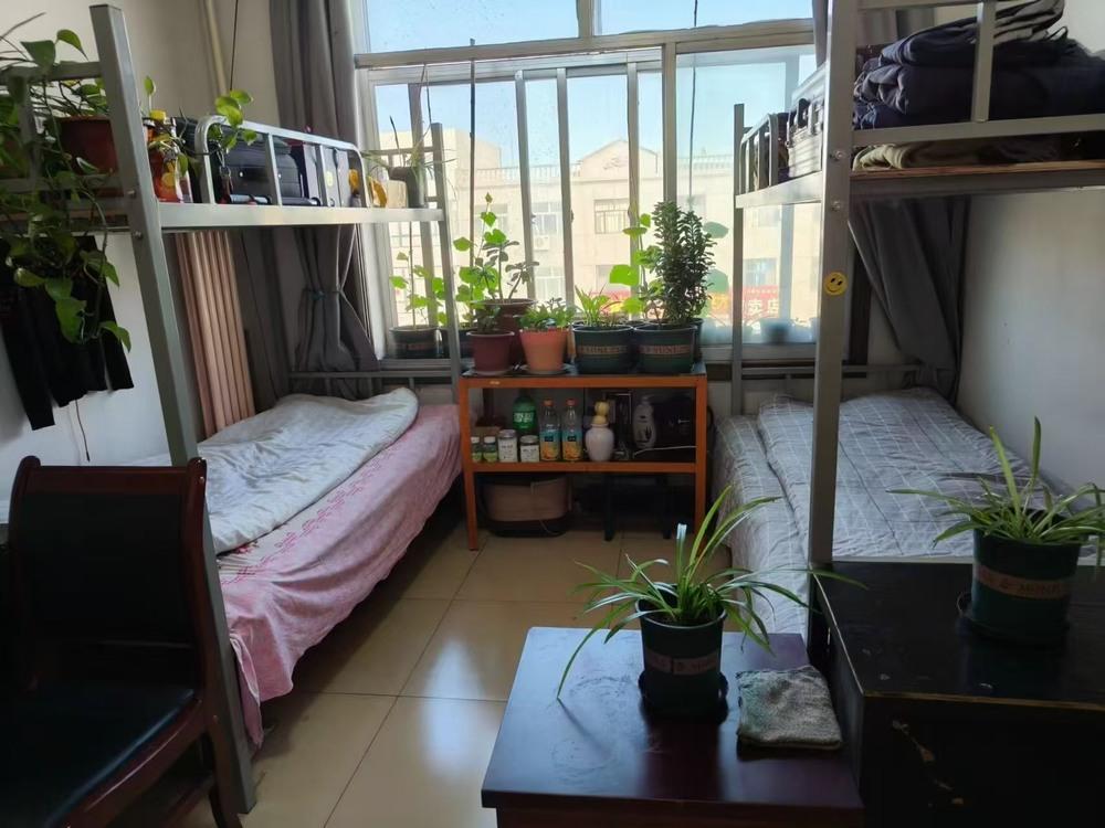 陕煤建设洗选煤运营公司柠条塔运营项目部：暖心筑港湾  聚力兴征程