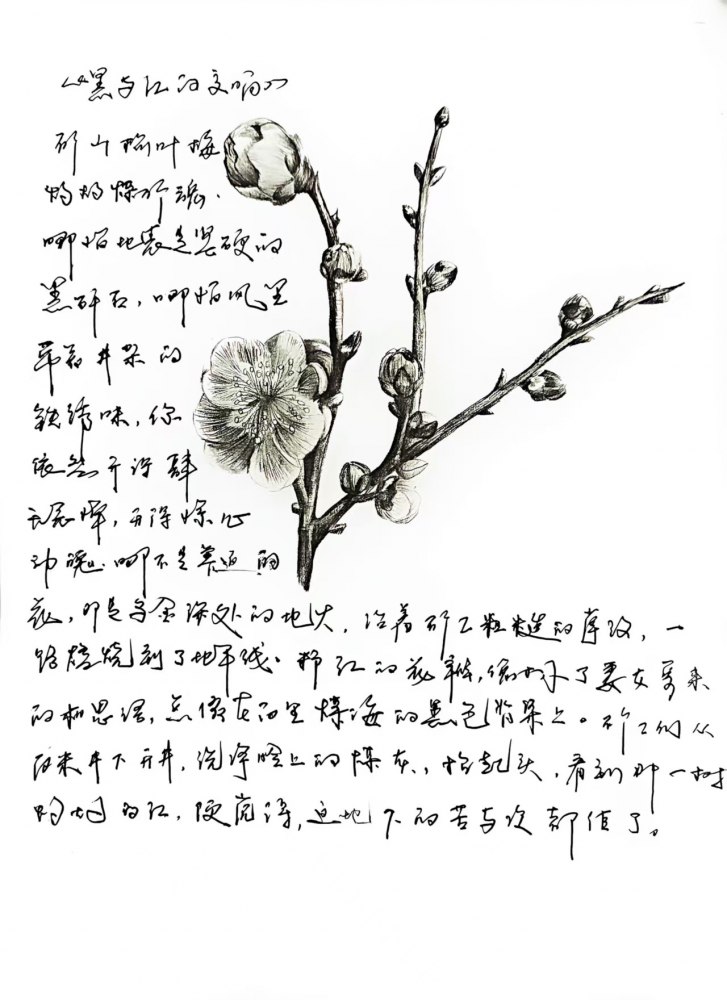 黑与红的交响