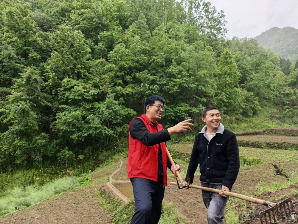 雨生百谷，情满山村