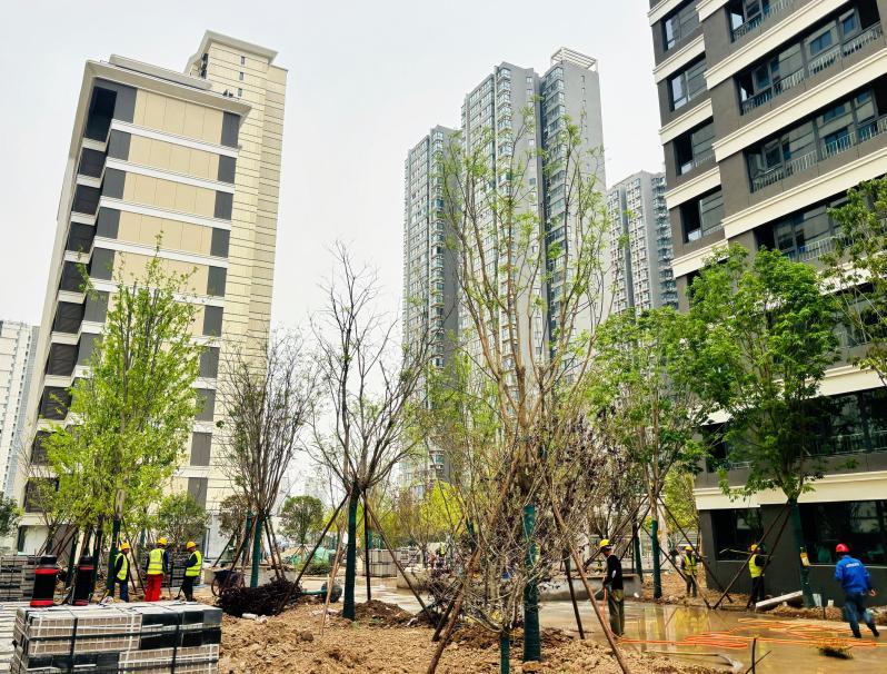礼赞劳动筑匠心 青春奋进建新功