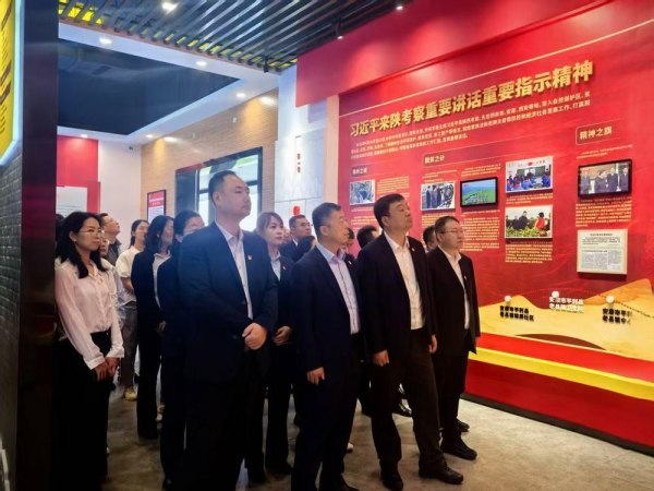 以案明纪守底线 护航发展担使命