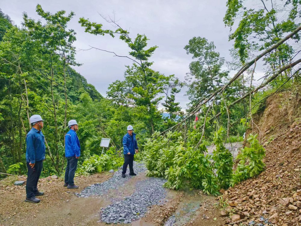 暴雨突袭阻通行 紧急清障保畅通