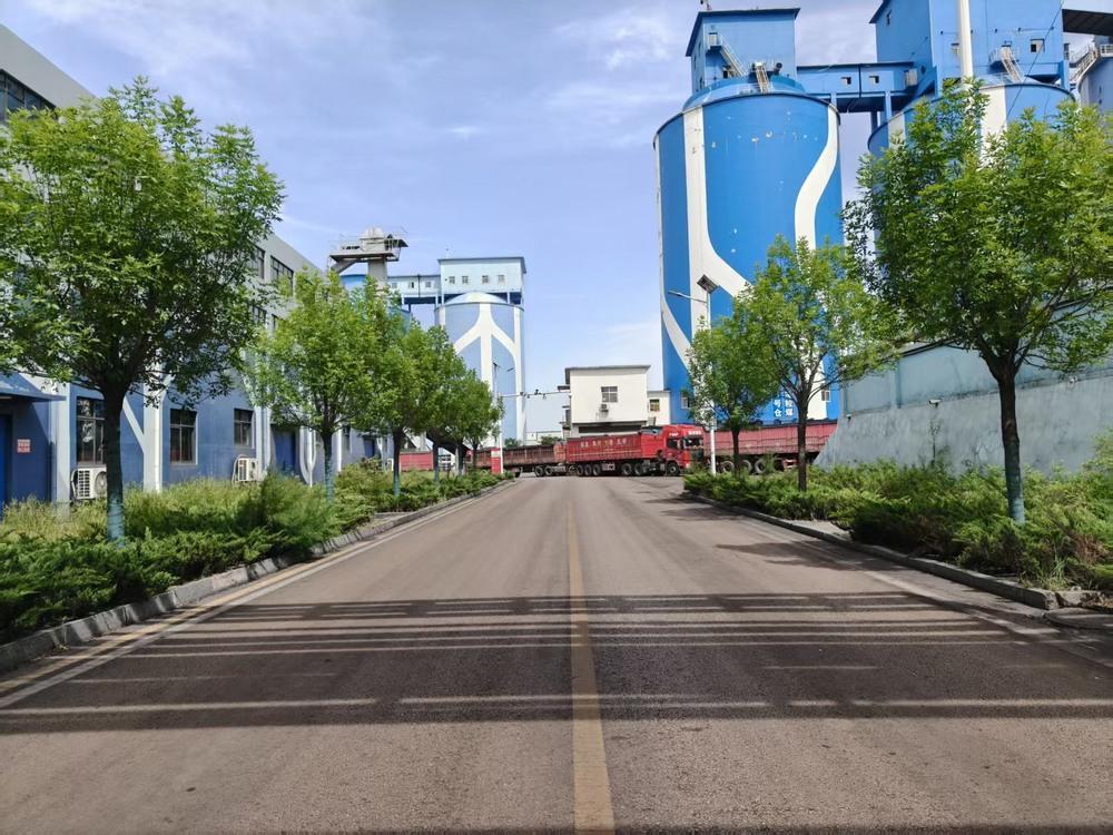 陕煤建设洗选煤运营公司:聚力六五环境日 多点发力绘就绿色新画卷