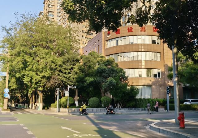 又见国槐开花时