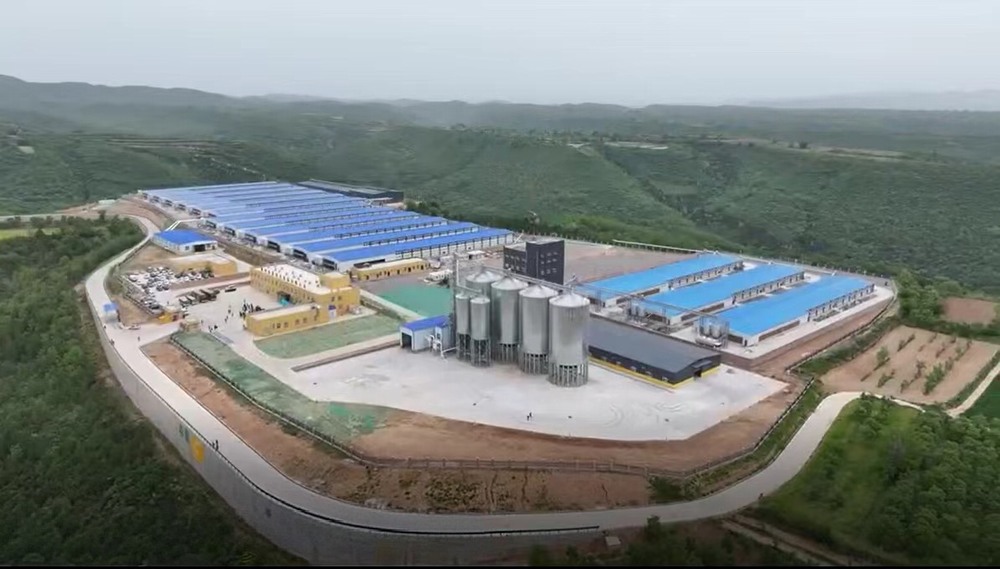 陕煤建设设计研究院:党建引领勇担当 双线攻坚促收官