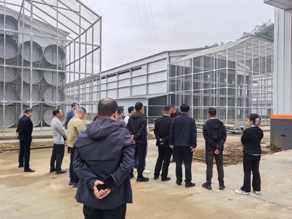 陕煤建设定点帮扶村：多点发力扎实开展常态化帮扶
